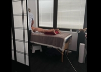 established acupuncture the heart - 1