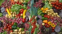 fruit veg+ more t - 1