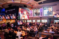 the sporting globe bar - 1