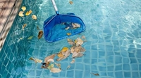 pool servicing repairs established - 2
