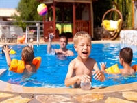 pool servicing repairs established - 3