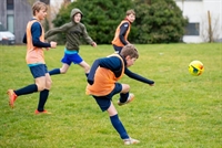 niche market sports product - 2