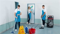 established 20 years commercial - 1