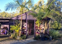 lifestyle acreage with thriving - 3