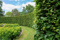 bayside territory mobile hedge - 1