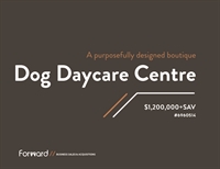 dog daycare centre boutique - 1