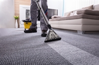 high demand carpet cleaning - 1