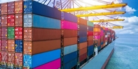 leading importers wholesalers distributors - 3