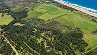 freehold oceanfront landholding with - 1