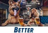 well established online dog - 1