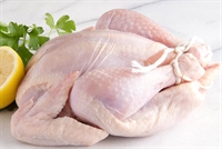 poultry clayton 5039243 - 1