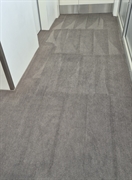 great carpet cleaning pest - 2