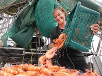 seafood distribution 3 days - 2