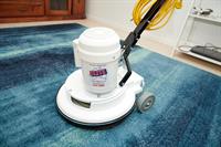 carpet cleaning pest control - 3