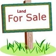 vast spacious vacant land - 1