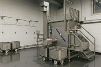 well-established fully systemised automated - 1