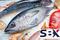 fish market seafood takeaway - 1