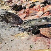 fresh seafood business profitable - 3