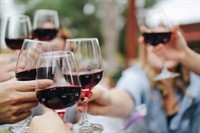 established winery vineyard business - 2