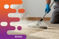 37180 profitable cleaning business - 1