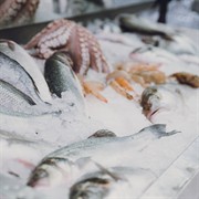 coming soon fresh seafood - 2