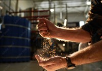 home brewing retail business - 2