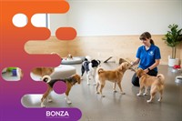 36834 specialist dog care - 2