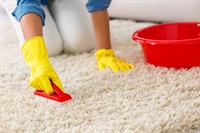 carpet cleaning commercial domestic - 2