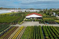 quality horticultural business vic - 1