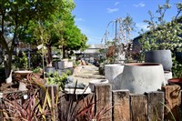 established garden centre landscape - 3