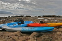 australis canoes an iconic - 2