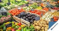 fruit grocery business high-exposure - 1