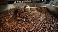 sunshine coast specialty coffee - 1