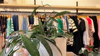 fashion business for sale - 3