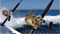 fishing charter business excellent - 1