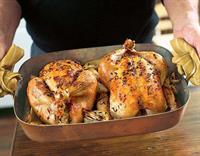 chicken bar long well - 1