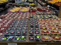 profitable fruit veg store - 3