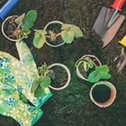 landscaping garden supply business - 3