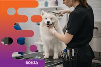 36626 profitable dog daycare - 2