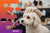 36775 busy dog grooming - 2