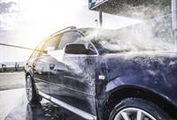 car dog wash kyneton - 2