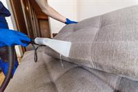 33151 reputable carpet cleaning - 2