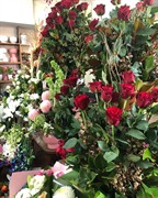 oakleighs iconic florist nursery - 3