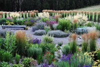 wholesale retail nursery established - 2