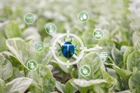 chemical free pest control - 1