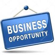 business opportunity one person - 1
