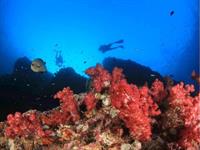 premium dive tourism business - 2
