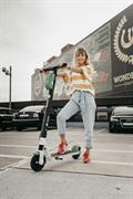 profitable electric scooter business - 1