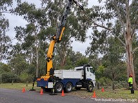 highly profitable tree services - 1