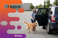 37114 profitable dog daycare - 3